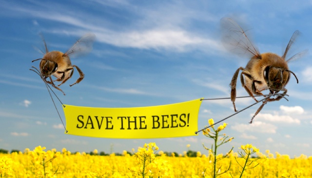 Savethebees